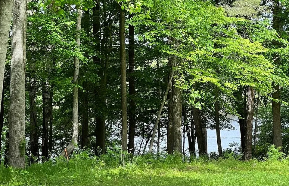 Property in Lancaster