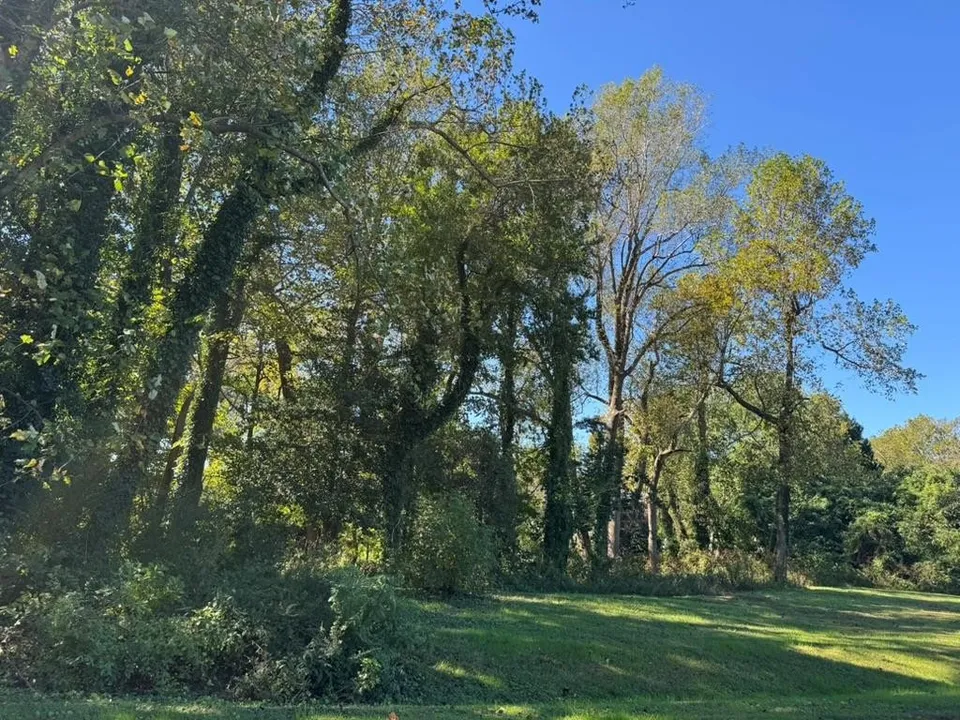 Property in Northumberland
