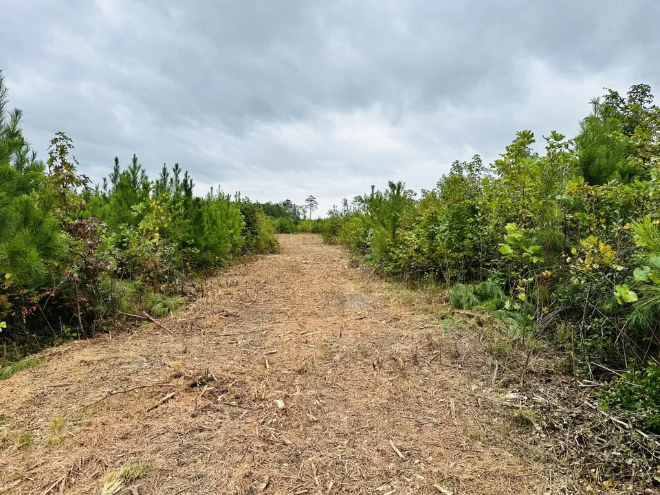 Property in Gloucester