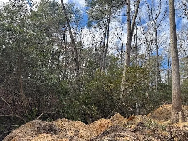 Property in Richmond County